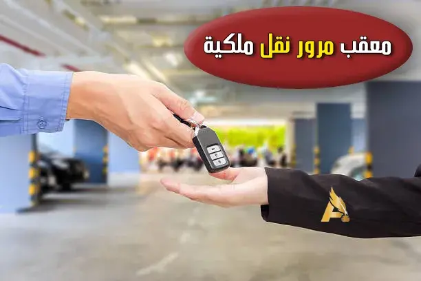 معقب مرور مخالفات