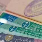 تاشيرة زيارة عمل